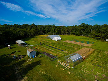 Drone image of Stockton Sustainable Farm