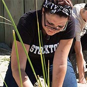 Student planting dune grass