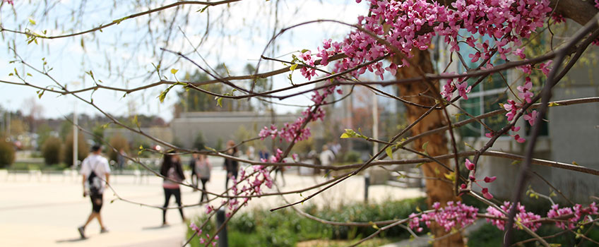 Campus Center