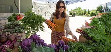 Stockton Farm stand