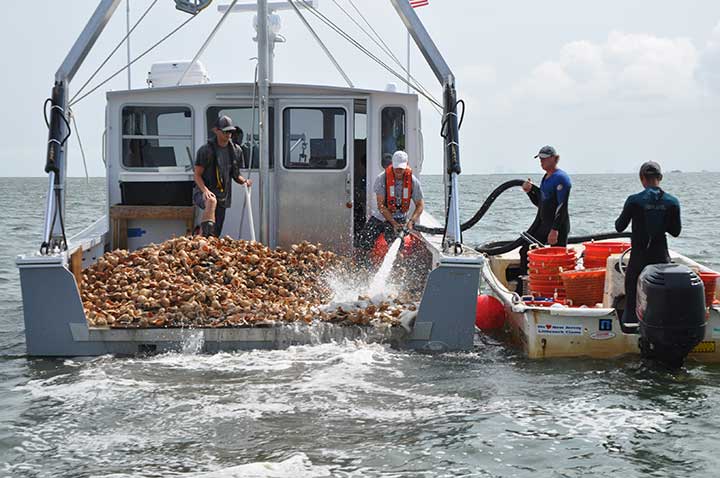 Oyster boat