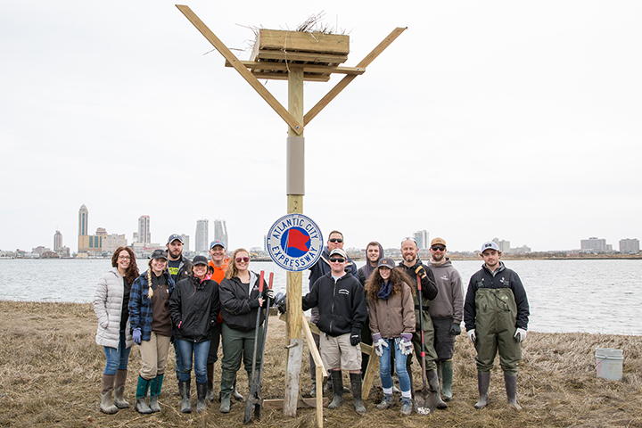 Osprey Platform