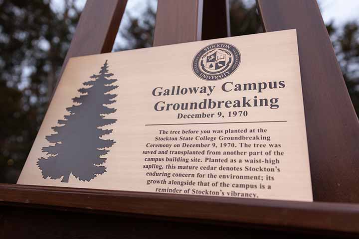 Plaque explaining the significance of the cedar tree