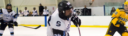 Ice hockey
