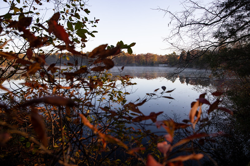 Lake Fred