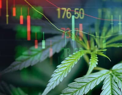 Hemp & Cannabis Business Management