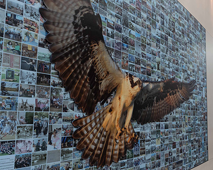 40 in Flight mural