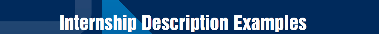 internship description examples