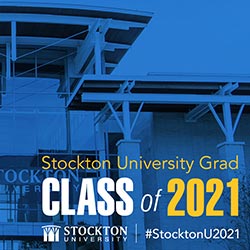 download Stockton digital backgrounds