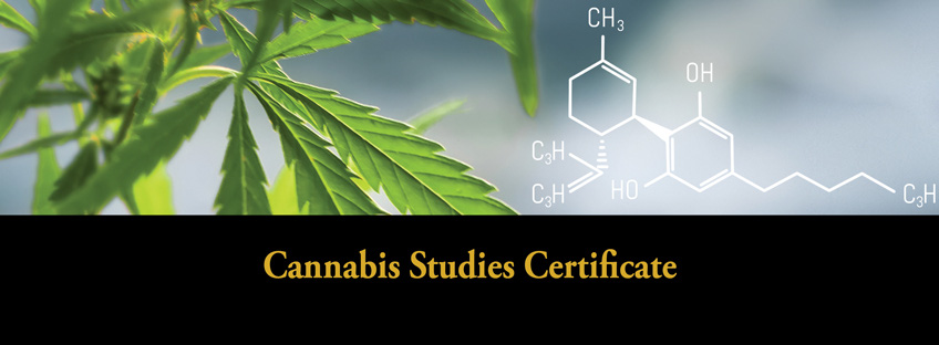 Cannabis Studies Certificate