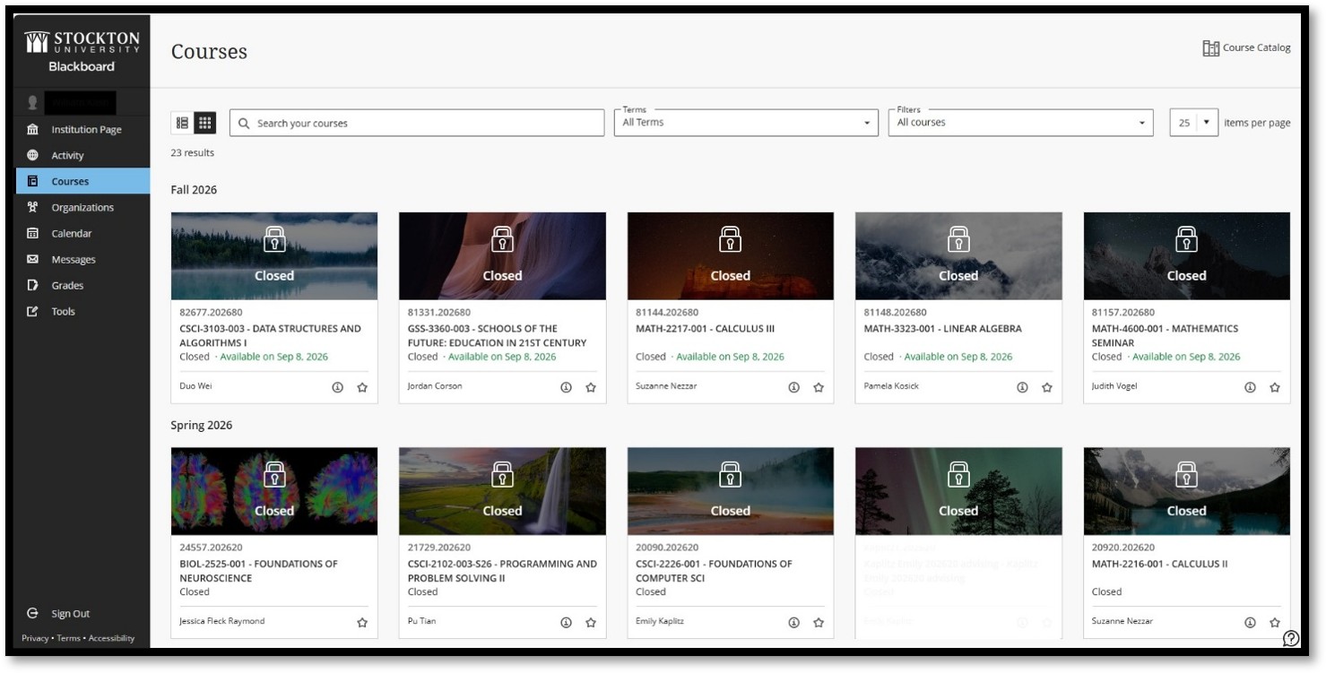 Screenshot of Blackboard course list