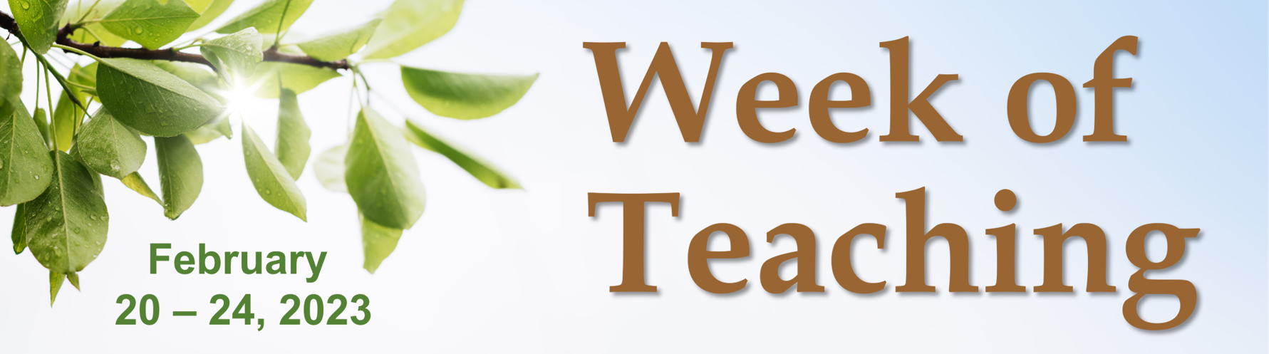 Week of Teaching Banner 2023