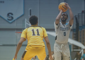Basketball Reception