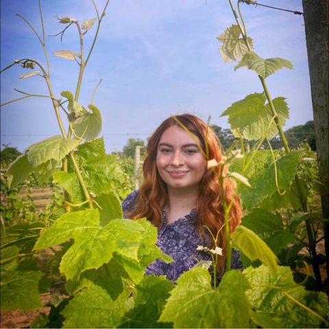 Rebecca Dietrich '19