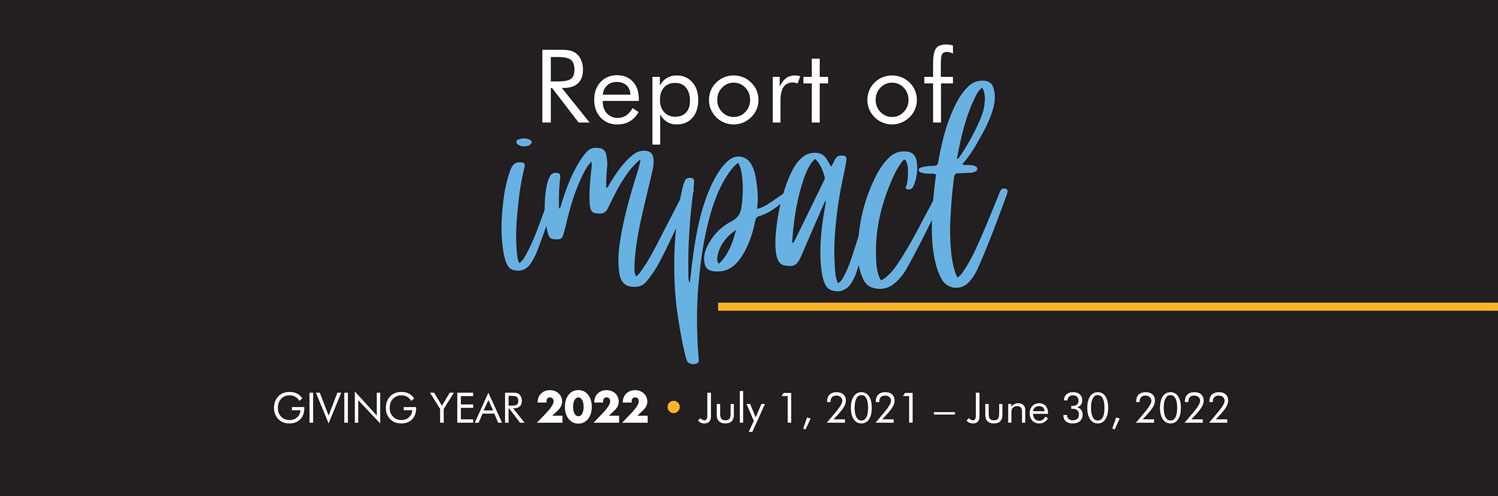 Report of Impact