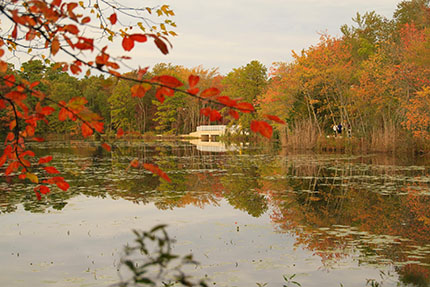 lake fred