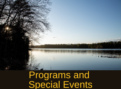 Programs and Events