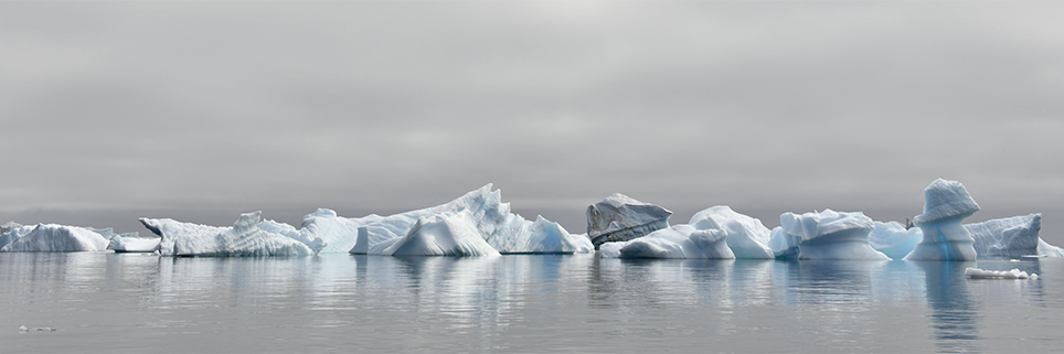 Iceburg