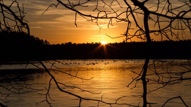 lake fred