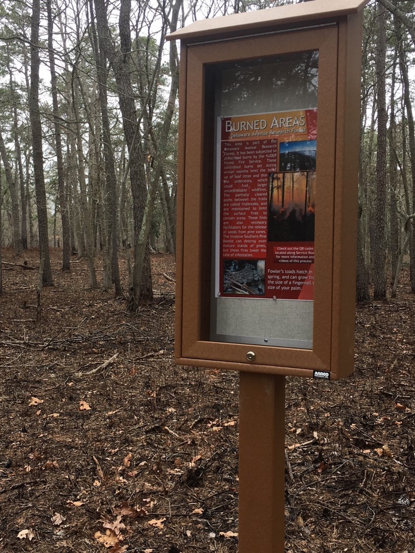 Burned Area Delaware Avenue Research Forest