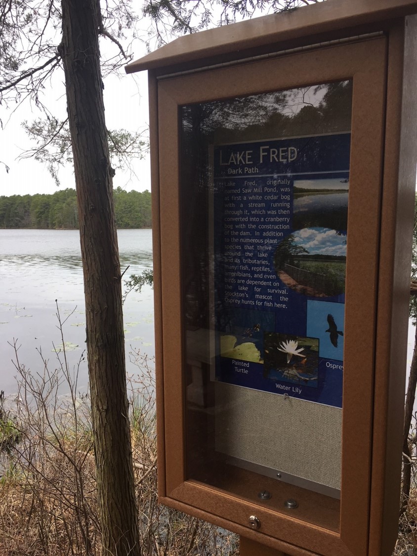 Lake Fred Dark Path