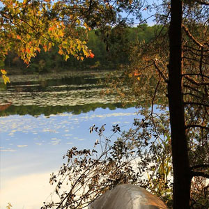 Lake Fred