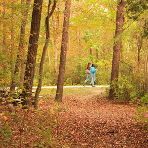 student walking in the woods