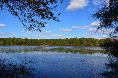 Lake Fred Picture