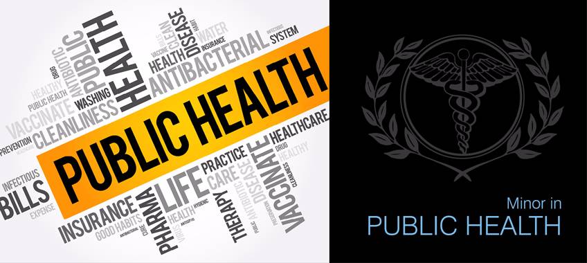 public health minor banner