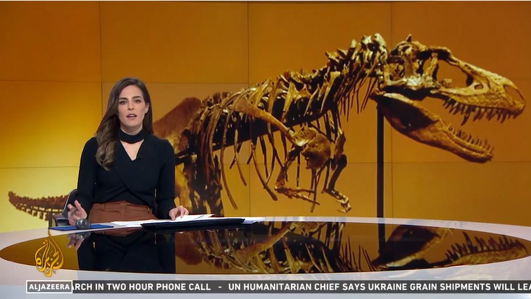 Al Jazeera interview - Rare Dinosaur Skeleton
