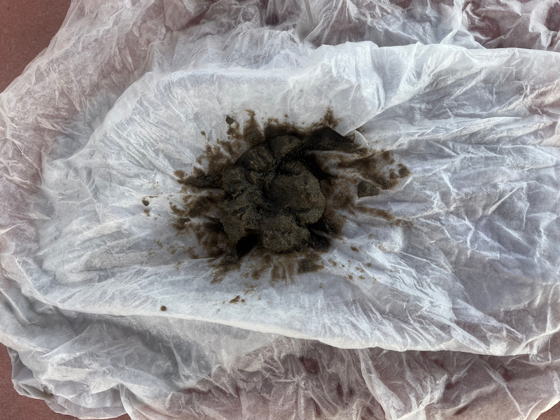 Oyster Seed