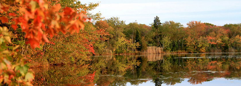 Lake Fred