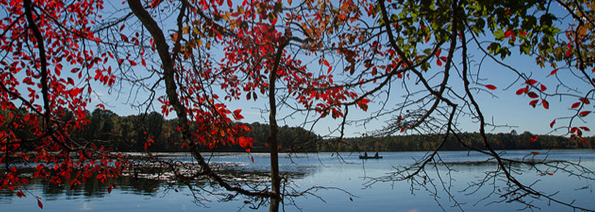 Lake