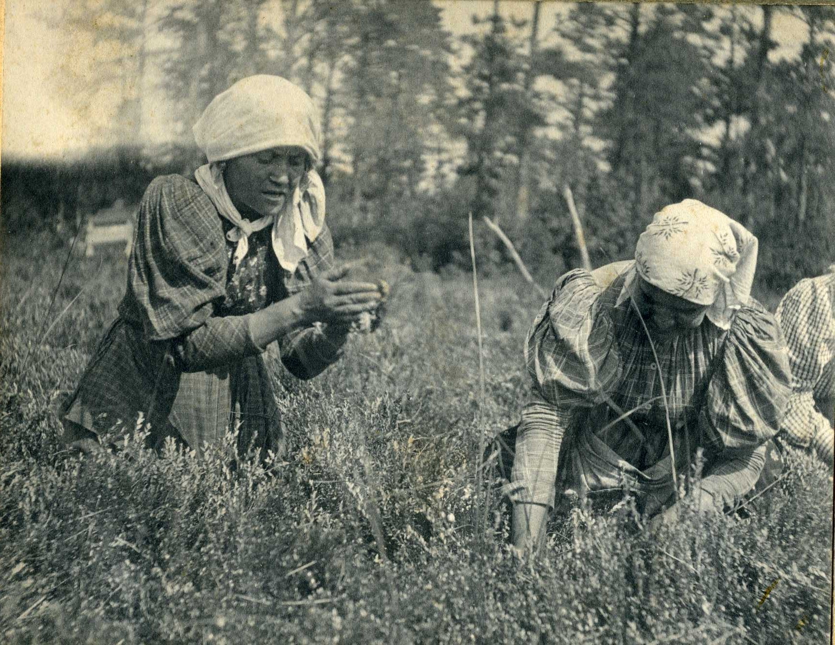 Evans Family Photographs, about 1895 to 1960