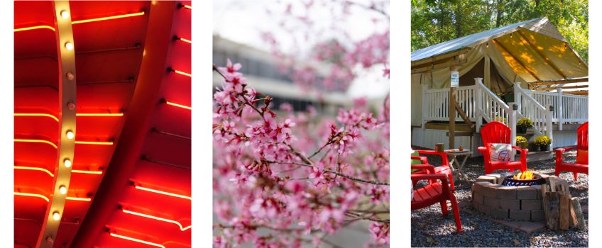 three images a casino marquee, cherry blossoms and adorondak chairs around a fire pit in front of a glamping tent. 