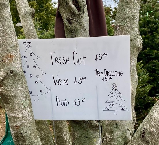 Figure 1. Christmas Tree Add-On Pricing
