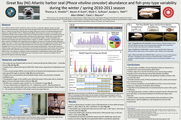 Harbor seal annual prey variability