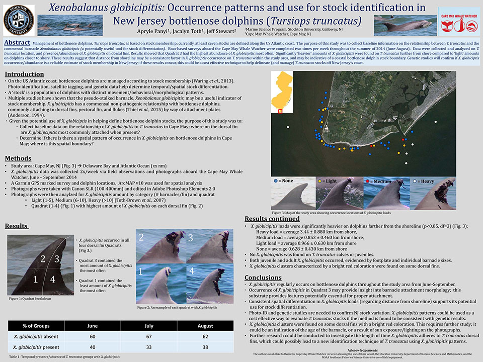 Image of scientific poster on occurence patterns of bottlenose dolphins