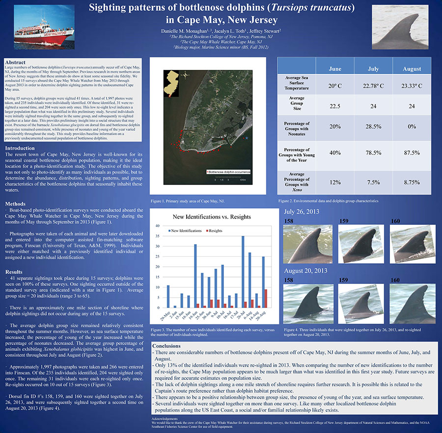 Image of scientific poster of sighting patterns of bottlenose dolphins