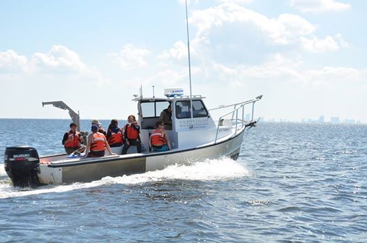 Image of Stockton University students doing research in the Bay of southern New Jersey