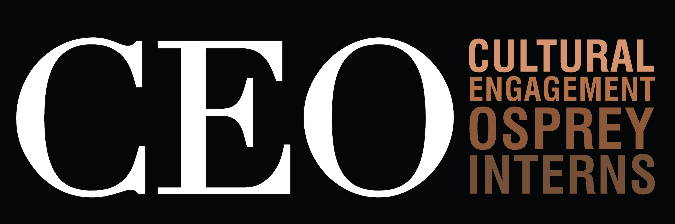 CEO logo