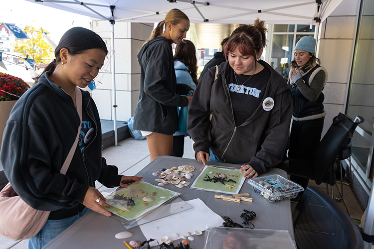 coast-day2 coast day