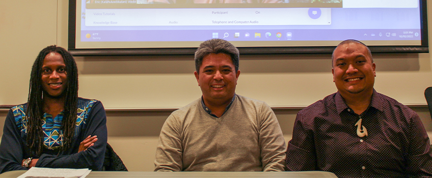 Panel speakers
