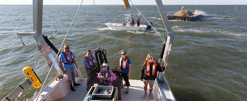 Tuckerton Reef