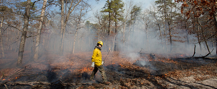 Controlled Burn