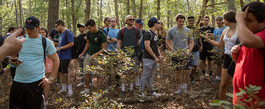 Pine Barrens Physical Geography 