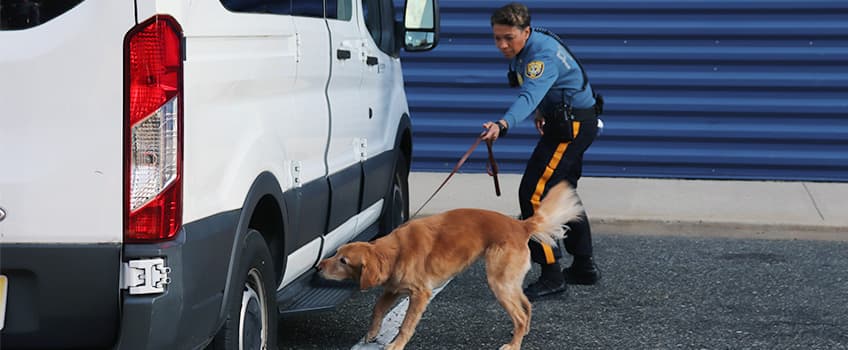 Stockton Police Chief Tracy Stuart and K-9 officer Freya