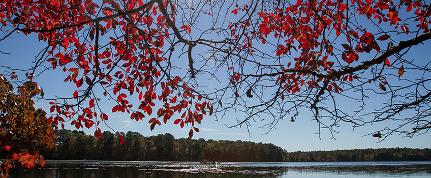 lake fred