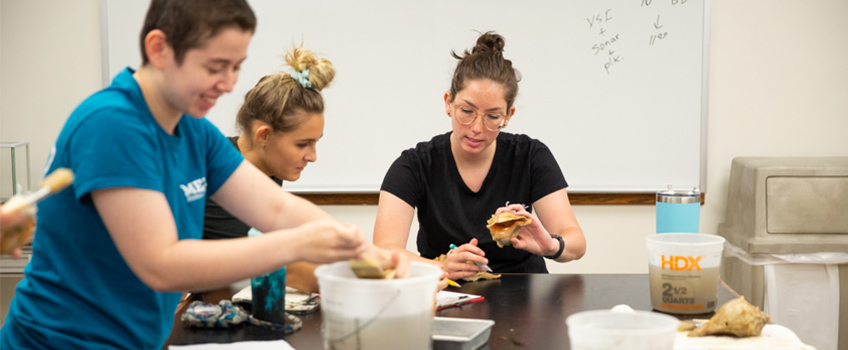 oyster research