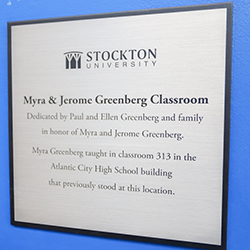 greenberg plaque